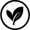 Rgenic vegan icon – leaf and V symbol for 100% plant-based liquid food supplements